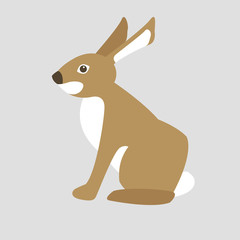 hare vector illustration style Flat