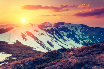 Summer sunset in mountains
