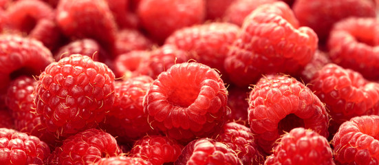 raspberry juicy ripe