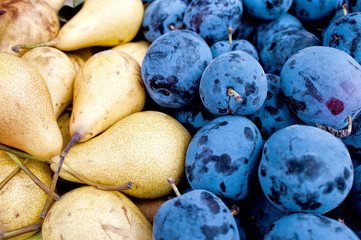 Fresh pears and plums in the market