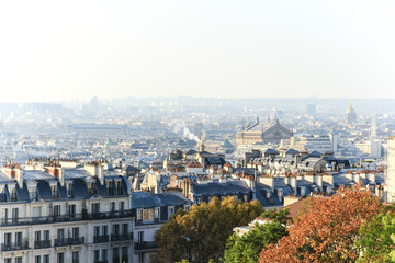 Fototapeta na wymiar Vue de Paris