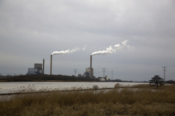 Fototapeta premium Amer power plant seen from the Biesbosch National Park, Netherla