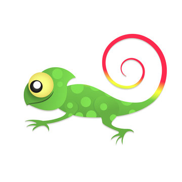 Fun chameleon baby