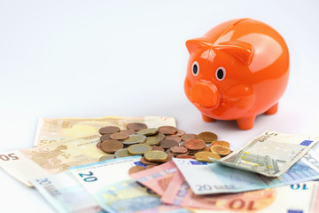 Piggy bank in a money meadow.