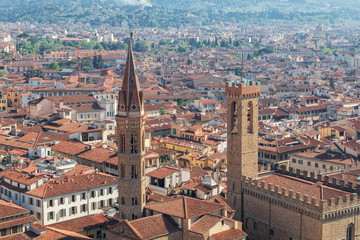 Fototapeta na wymiar Panorama of the Florence city