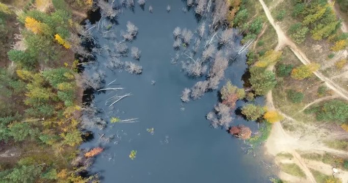 drone flying over the marshes and rivers