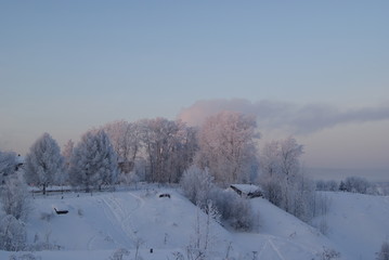 Obraz premium Winter forest