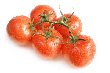 Bunch of fresh wet tomatoes isolated on white background