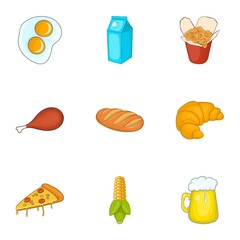 Unhealthy food icons set. Cartoon illustration of 9 unhealthy food vector icons for web
