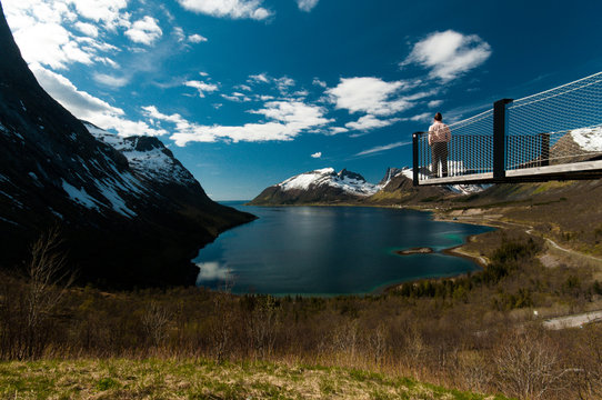  viewing platform