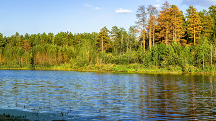 летний пейзаж на сосновом берегу реки на закате дня, Россия,  © 7ynp100