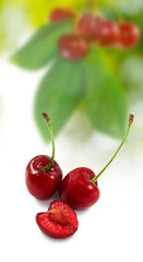 Image of ripe cherries closeup