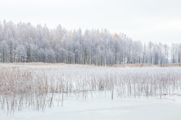 Nice winter day at lake after blizzard. Winter forest with trees covered snow.
