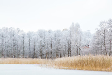 Nice winter day at lake after blizzard. Winter forest with trees covered snow.