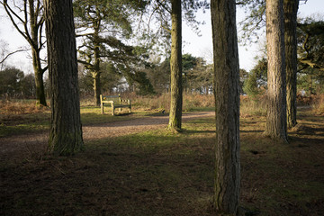 lickey hills