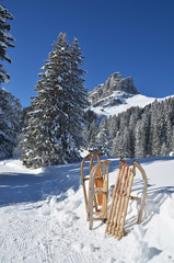 Sledges against snowy Alps