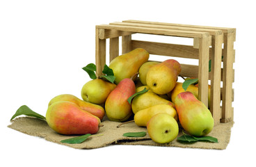 Box of ripe pears. Isolated. Country life.