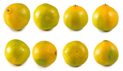 isolated image of orange close-up