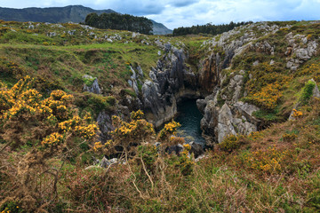 Bay of Biscay rocky coast, Spain.