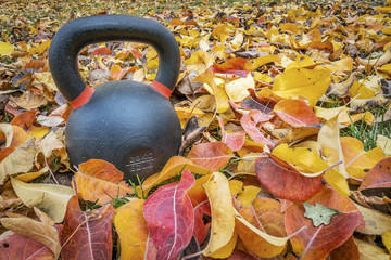 kettlebell with fall color  leaves