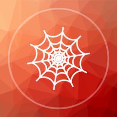 Spider web icon