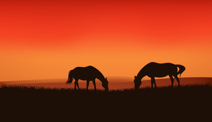 Fototapeta na wymiar horses at sunset vector landscape