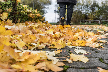 Fußweg nicht beräumt, Eigentümer nicht seiner Pflicht nachgekommen