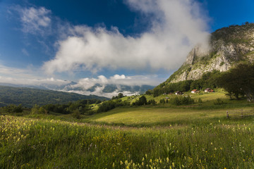 carpatians mountains