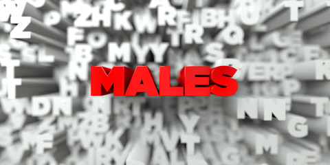 MALES -  Red text on typography background - 3D rendered royalty free stock image. This image can be used for an online website banner ad or a print postcard.
