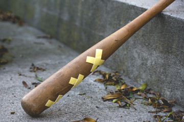Baseball bat 