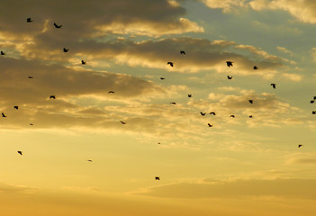 Incredible sunset