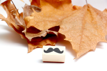 moustaches rubber stamp. Movember men's health awareness concept.