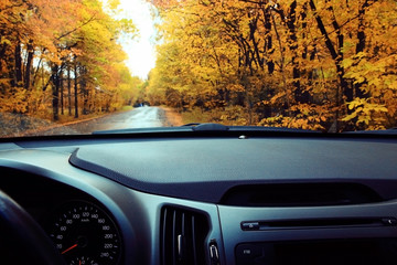 car autumn road, sun, concept autotravel