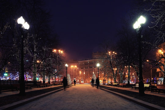 winter night photo