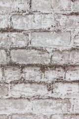 brick white dirty wall background