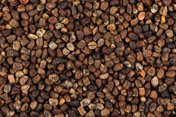 Decorticated cardamom seeds