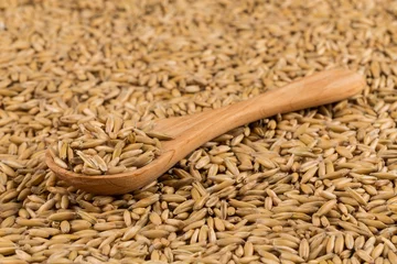Gordijnen natural oat grains background, closeup © VertigoBarrov