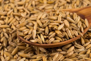 Gordijnen natural oat grains background, closeup © VertigoBarrov