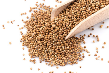 Coriander seeds in wooden scoop