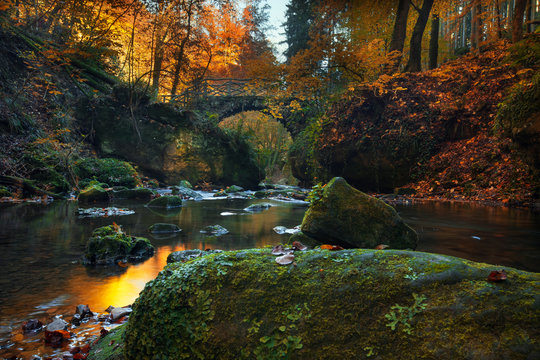 Fototapeta Automne enchanté dans la petit suisse luxembourgeoise