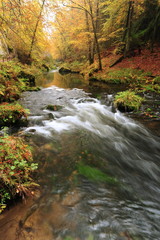 Obraz na płótnie Canvas Autumn colors river