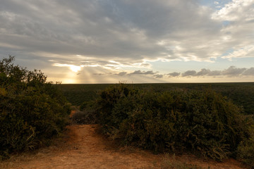 The path leading to the sundown