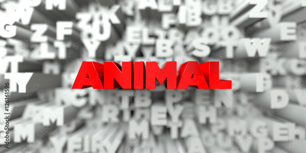 Fototapete animal - red text on typography background - 3d rendered royalty free stock image. this image can be