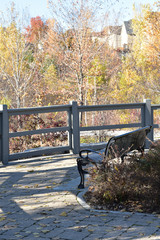 Bench in fall 4 