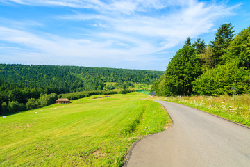 Fototapeta na wymiar Road alongside golf course green area in Arlamow village, Bieszczady Mountains, Poland