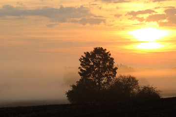 Fototapeta na wymiar Early morning sun over the rural countryside