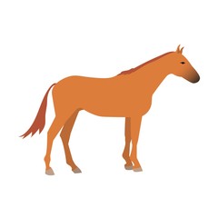Horse vector isolated animal.