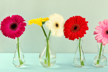 Beautiful gerbera flowers in vases on light background
