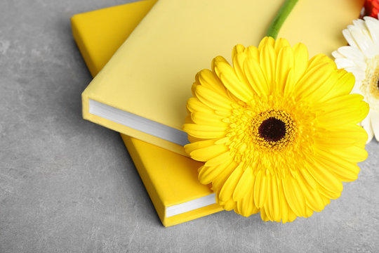 Fototapeta Yellow books and gerbera flower on grey background