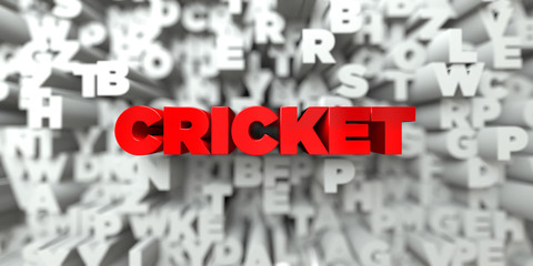 CRICKET -  Red text on typography background - 3D rendered royalty free stock image. This image can be used for an online website banner ad or a print postcard.